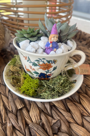 Teacup Succulent Workshop