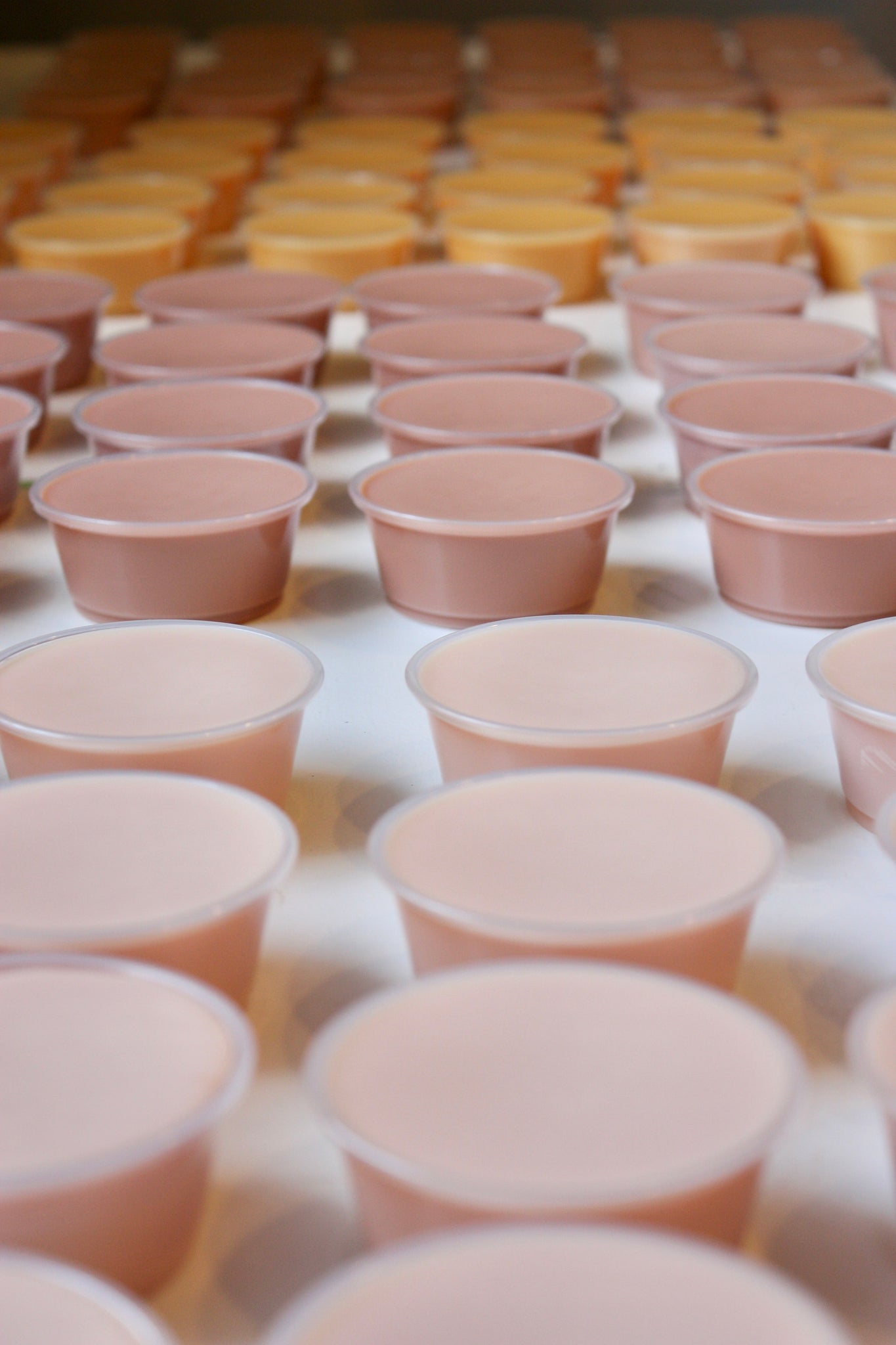 Paraffin-Soy Wax Melts (3oz Scent Shots)