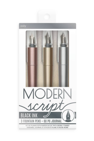 3pk Fountain Pens & Journal